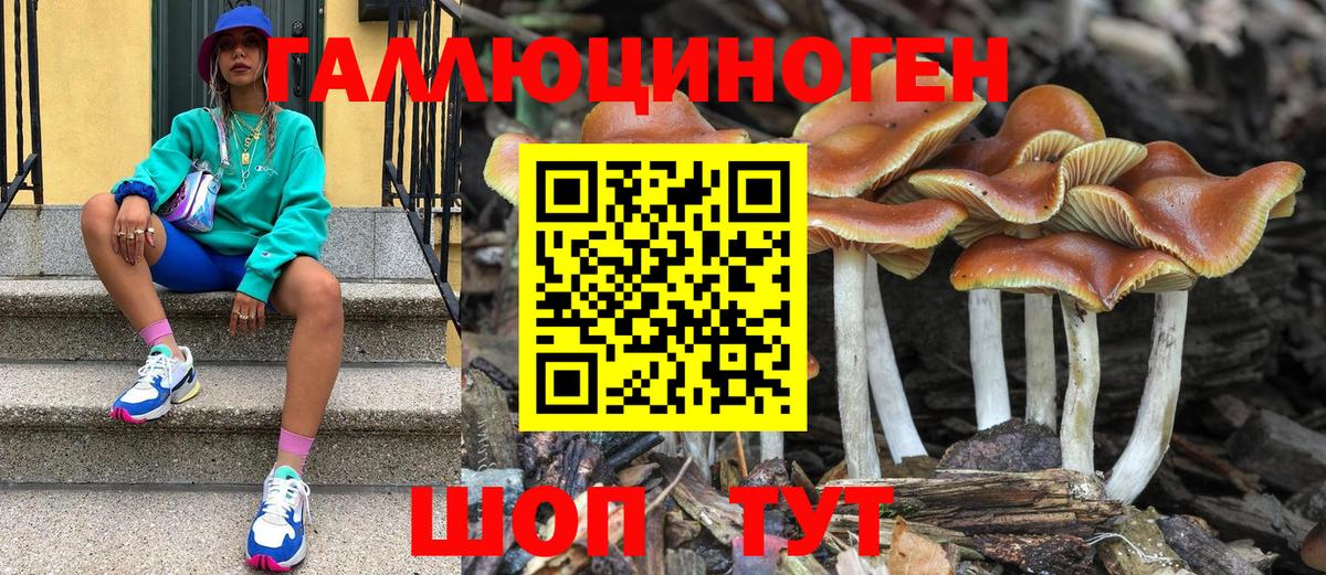 Губкинский  Псилоцибиновые грибы мухоморы  Вход с VPN  Псилоцибиновые грибы GOLDEN TEACHER 