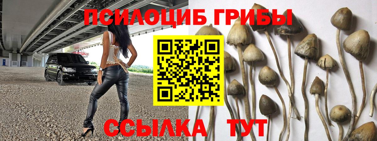 Галлюциногенные грибы Magic Shrooms Губкинский