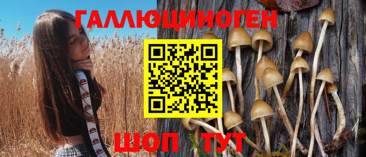 где можно купить   Псилоцибиновые грибы Magic Shrooms  Губкинский  Галлюциногенные грибы прущие грибы 